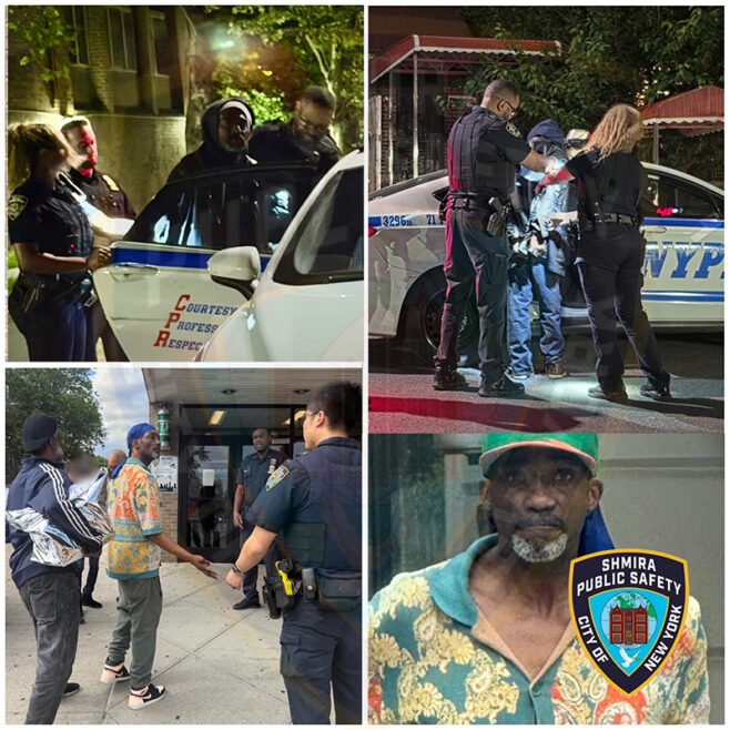 Arrests for Trespass, Package Theft in Crown Heights Arrests for Trespass, Package Theft in Crown Heights